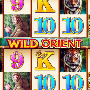 Автомат Wild Orient – дикие приключения на Востоке
